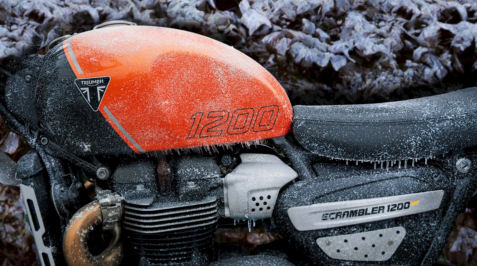 DEIN MOTORRAD. DEIN WINTER. DEINE MÖGLICHKEITEN.